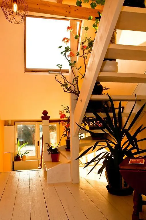 לינה וארוחת בוקר גנט B&B La Ducale