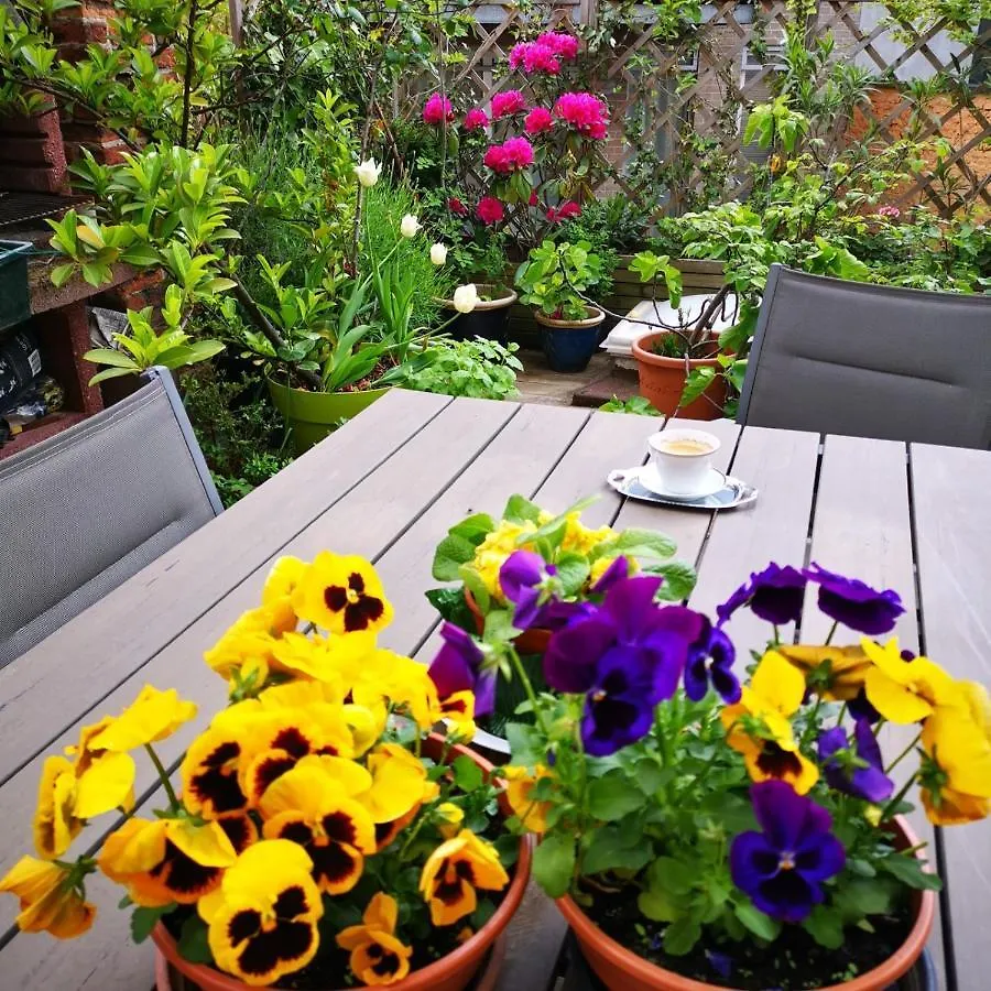 Bed and Breakfast B&B La Ducale Γάνδη